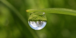 best eye health supplements for midlife vision changes