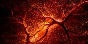 cholesterol changes after menopause